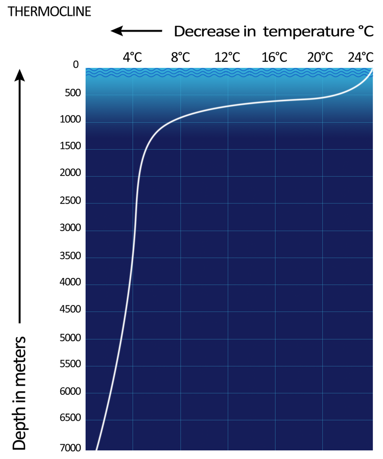 Thermo